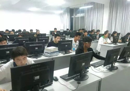 指尖創(chuàng)富 電子商務專業(yè)的數(shù)字未來與無限可能